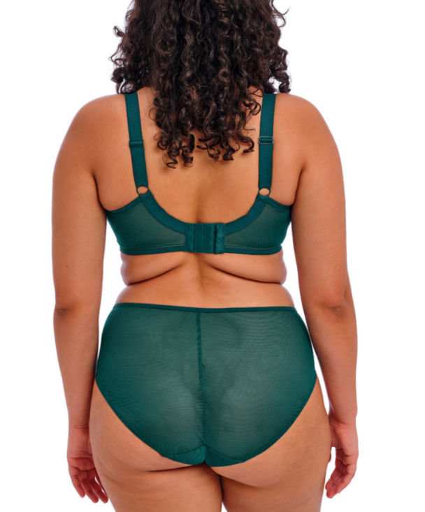 ELOMI KINTAI UW Plunge Bra EL 301202DAL - Image 4