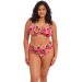 ELOMI Cabana Nights Plunge Bikini ES801602