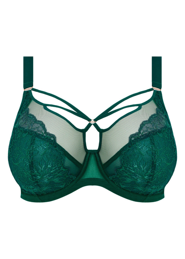 ELOMI Brianna Uw Plunge Bra EL8080RAT - Image 5