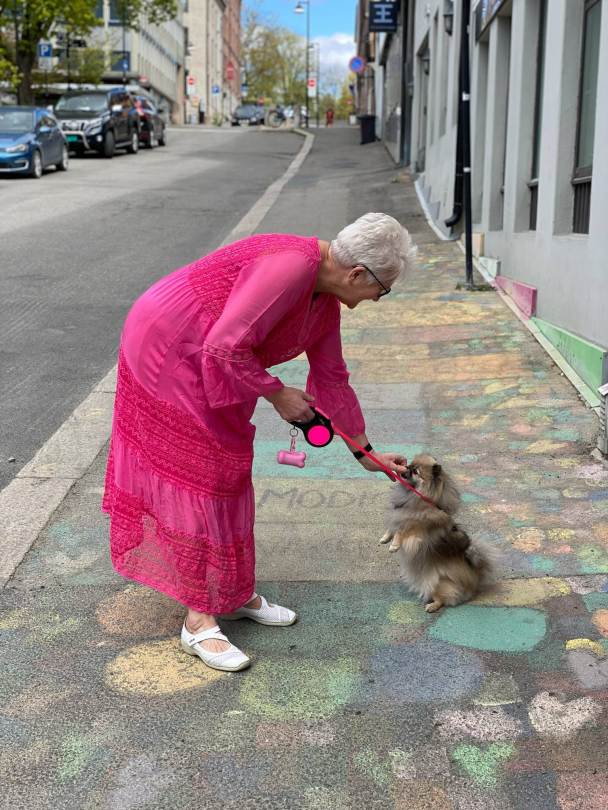 BIBBA Silkekjole V-hals PB2397 - Image 7