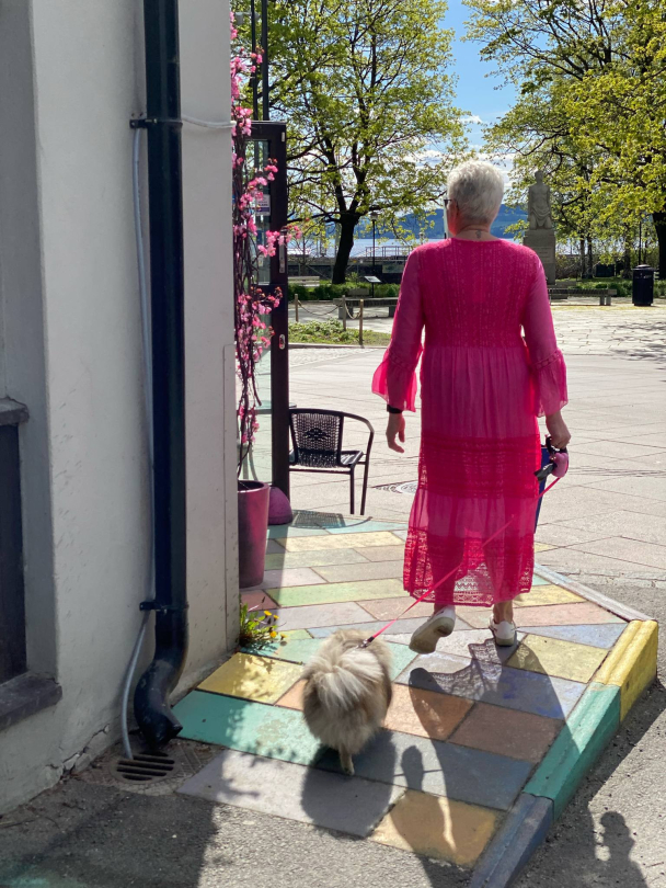 BIBBA Silkekjole V-hals PB2397 - Image 8