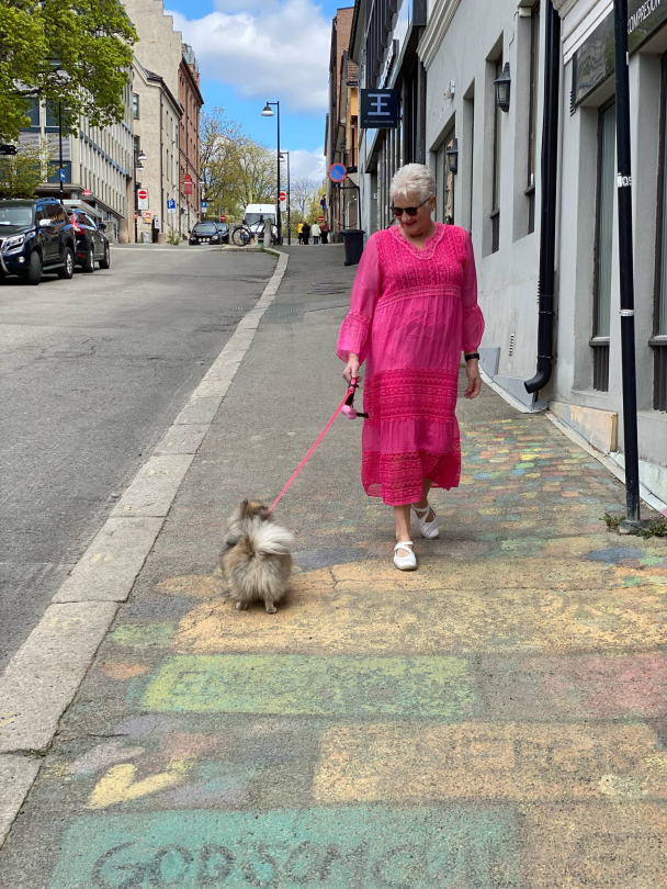 BIBBA Silkekjole V-hals PB2397 - Image 9