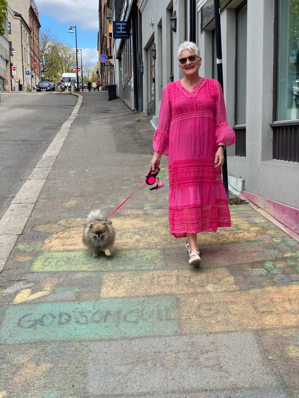 BIBBA Silkekjole V-hals PB2397 - Image 10