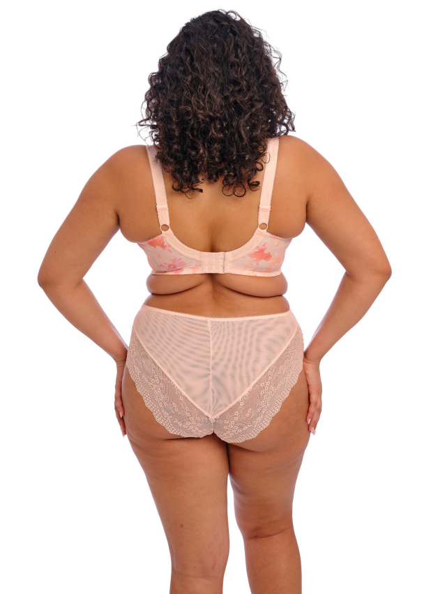 ELOMI Lucie High Leg Brief EL4498COM - Image 3