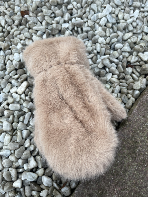 Olivia Taupe Votter - Image 2