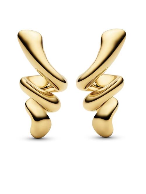 Coil Earrings - Golplated Silver