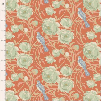 Songbird- Cora - Coral