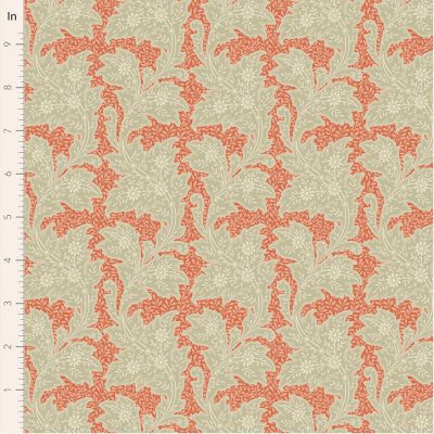 Forhåndssalg- Songbird- Stella- Coral