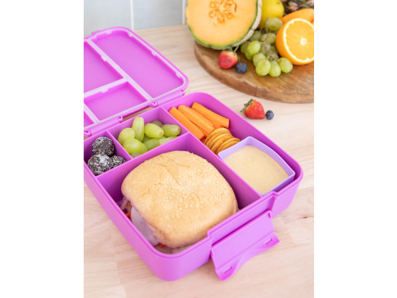 Montii Bento Feast - Fuchsia