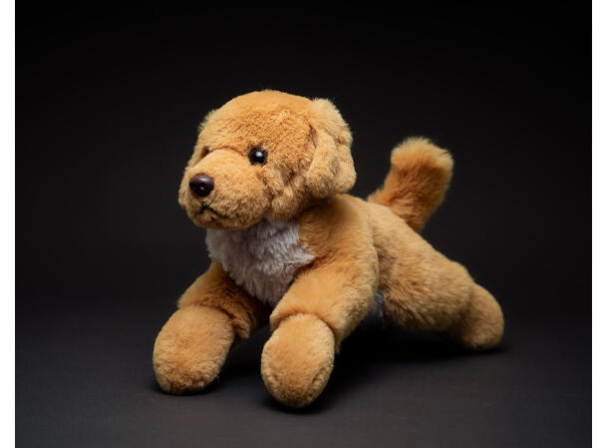 Buster, Golden Reteriever - Image 3