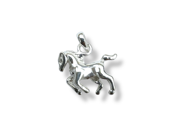 S&oslash;lv anheng m. hest