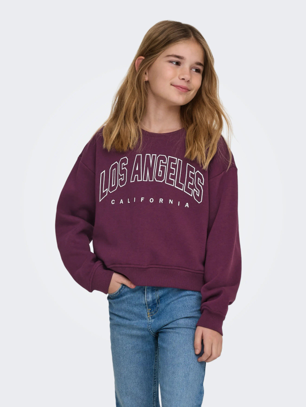 KOGSWEAT LS CREW OVZ STAT SWT NOOS - Image 4