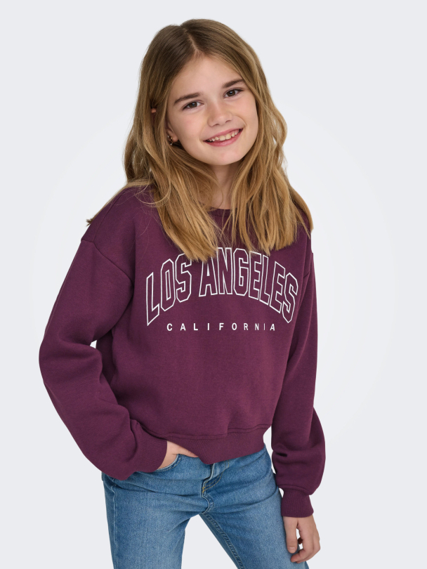 KOGSWEAT LS CREW OVZ STAT SWT NOOS - Image 5