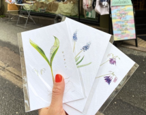 Screenshot 2026-01-14 at 16.49.12.png