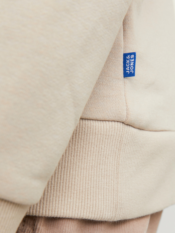 JJEBRADLEY SWEAT CREW NOOS JNR - Image 5