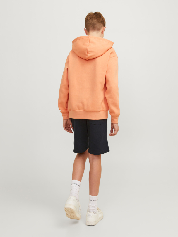 JPSTVESTERBRO SWEAT SHORTS GMS SN JNR - Image 2
