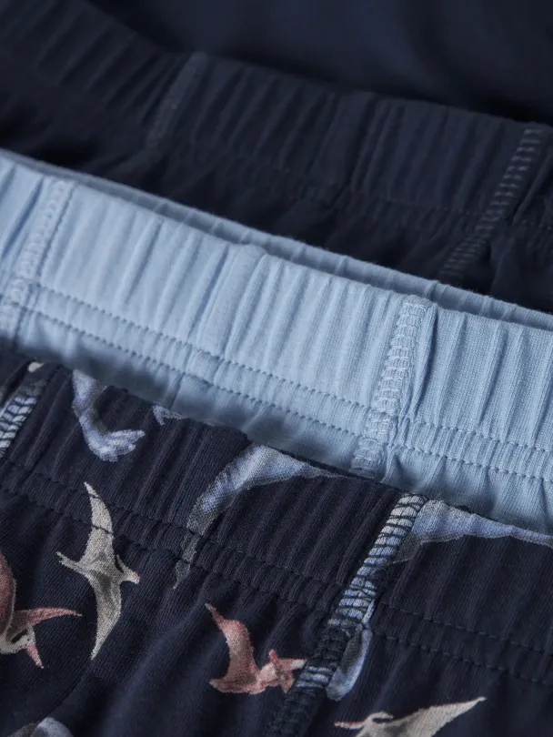 NMMtights 3-pk Dinosaur Boxer - Image 5