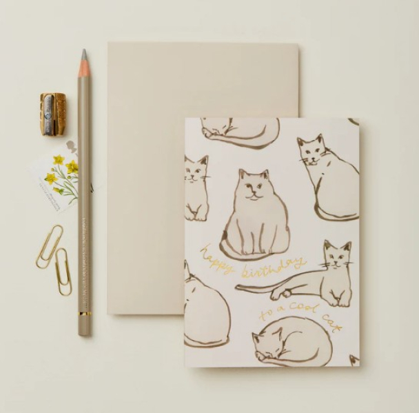 Kort stor Happy Birthday to a Cool Cat