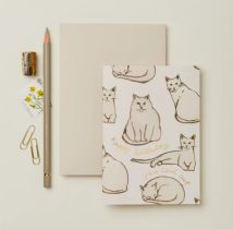 WAN 2011 Happy Birthday to a Cool Cat.jpg