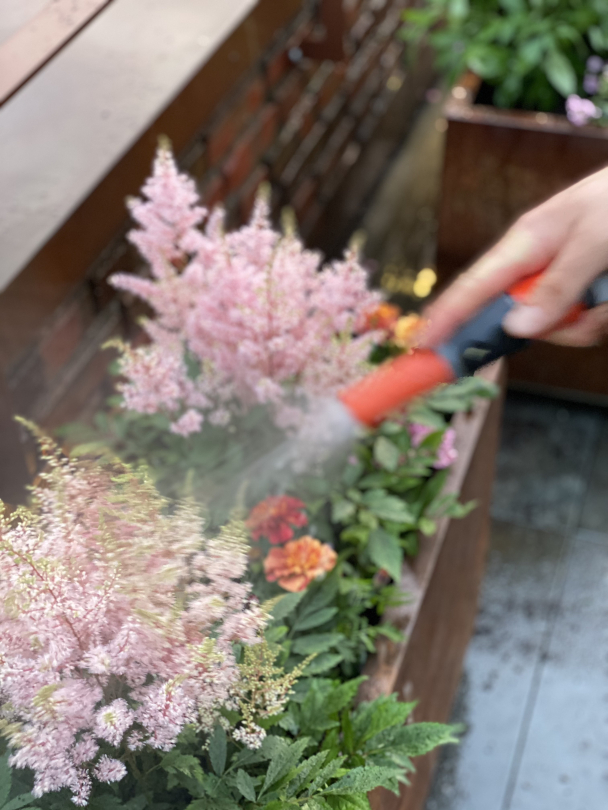 Planter til bedrift - Image 2