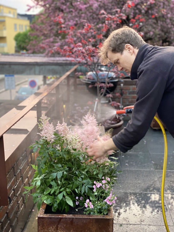 Planter til bedrift - Image 3