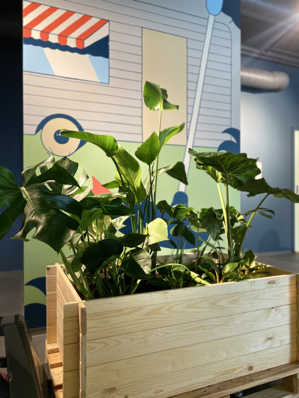 Planter til bedrift - Image 4