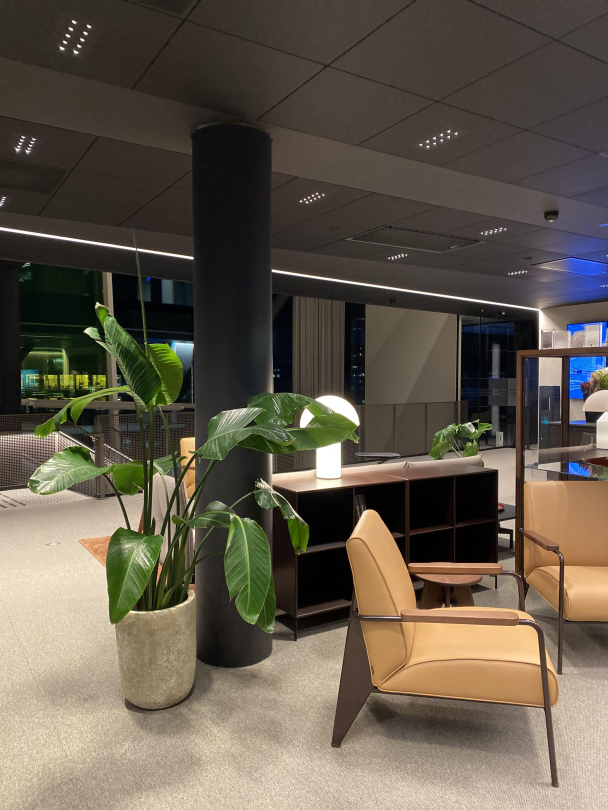 Planter til bedrift - Image 7