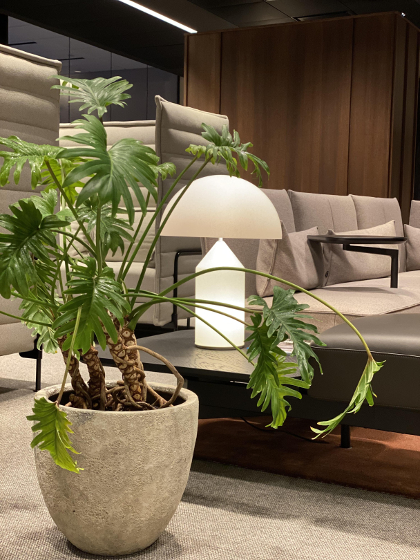 Planter til bedrift - Image 1