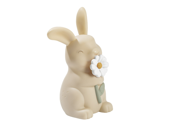 Nattlampe - Kanin