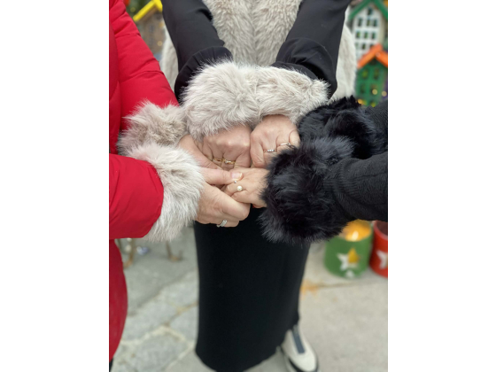 DIZ Fuskepels Arm MZ04