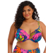 ELOMI Porto Rafti Plunge Bikini ES803302