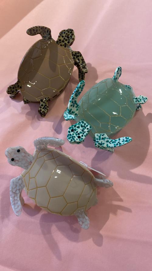 Skilpadde Hårklype Endless