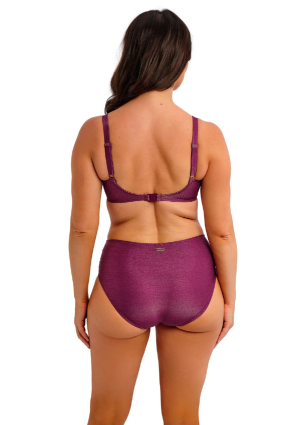 FANTASIE Paros Coast Full Bikini Brief FS506171BER - Image 3