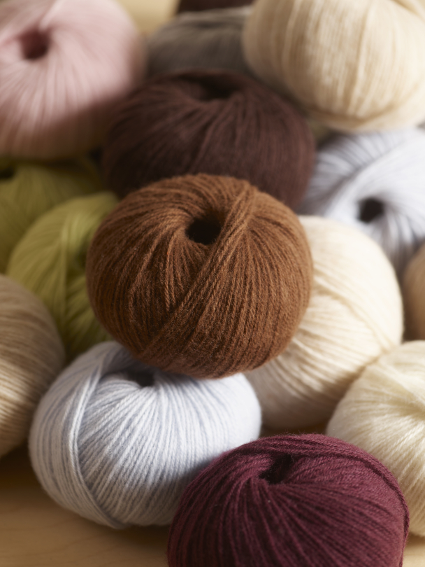 Lun Merino - Image 1