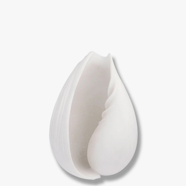 CONCH-skjell small  - Image 1