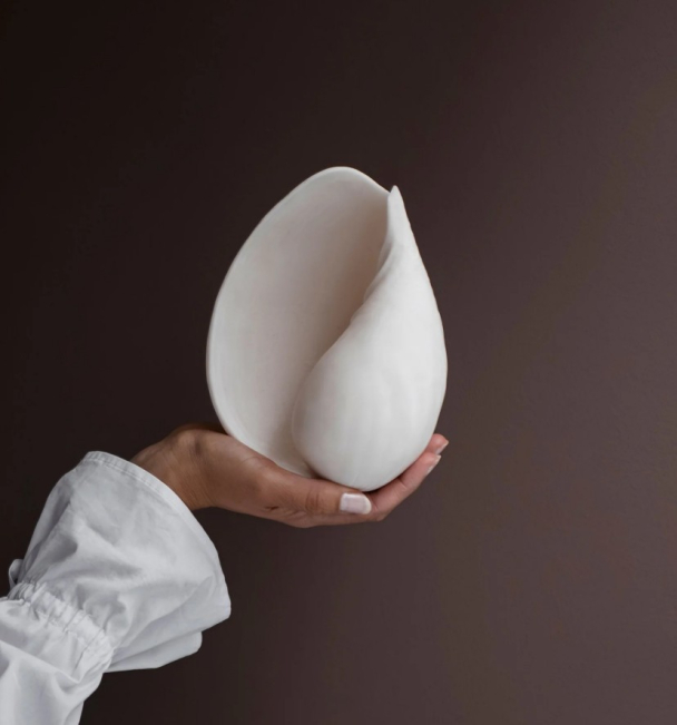 CONCH-skjell small  - Image 3