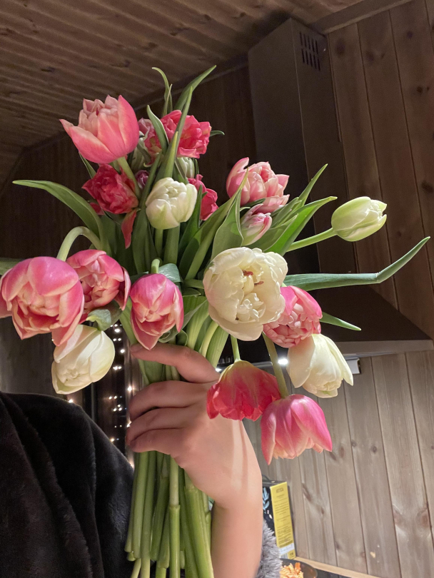 Doble tulipaner - Image 3