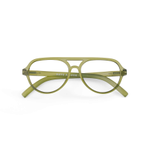 Reading glasses_Avi_laurel.png