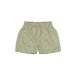 Swim Shorts, Mosstone - Petit Piao