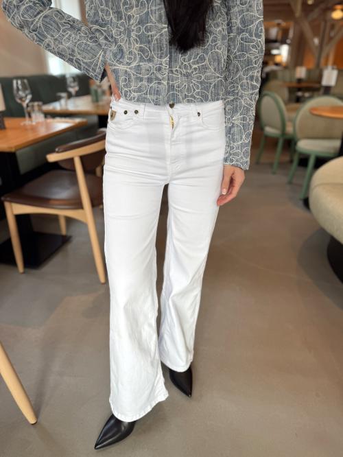 Palazzo - Megalia Shot