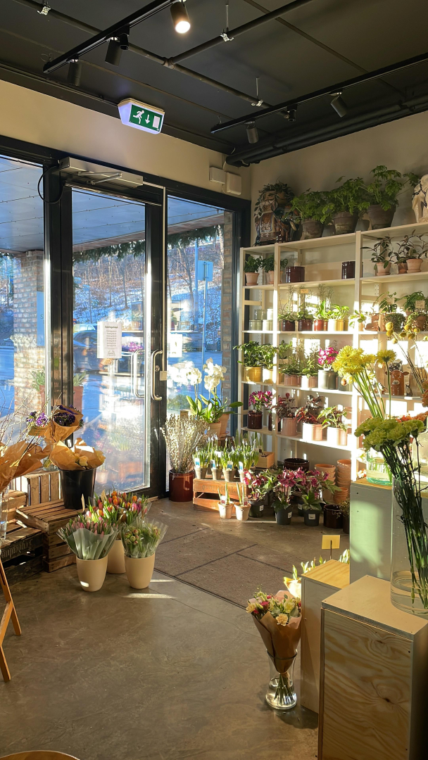 Yoga hos Snitt Blomster (1. mars) - Image 3