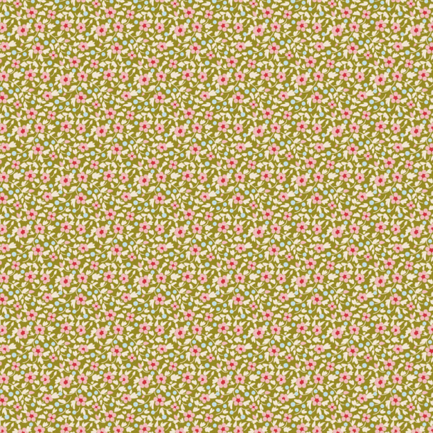 Forhåndssalg- Brie Basics Green