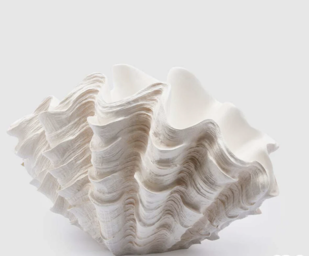VASO CONCHIGLIA