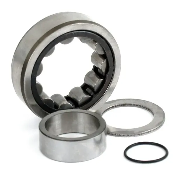 Camshaft roller bearing. Outer, rear