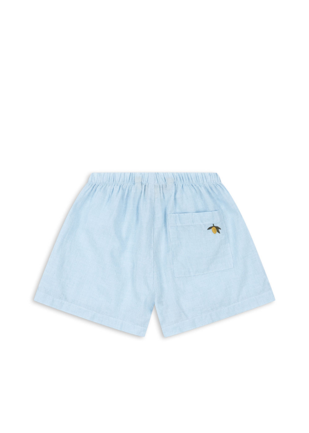 Fran Shorts - Blue Check - Image 2