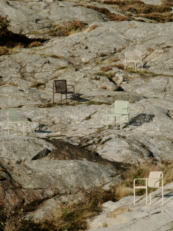 Dapple Stol -  Kasjmir - Image 5