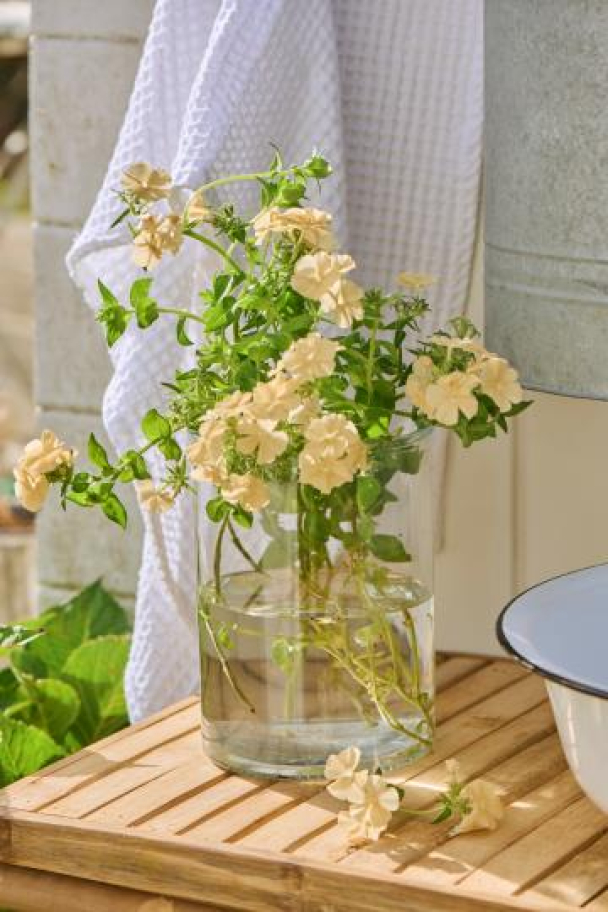 Vase / lyslykt  - Image 4