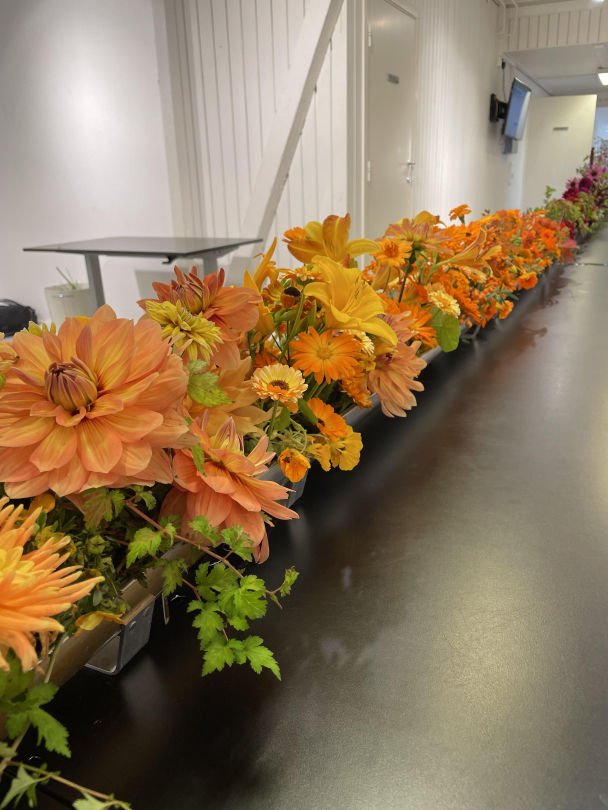 Store event / arrangementer - Image 2