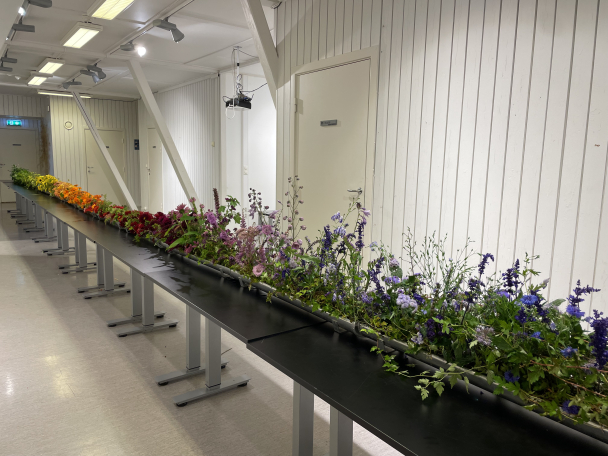 Store event / arrangementer - Image 4