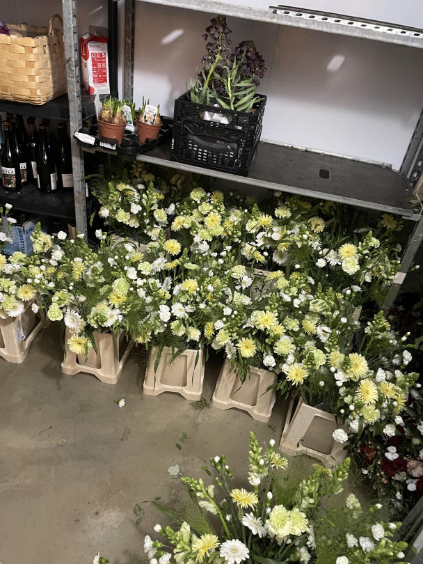 Store event / arrangementer - Image 7